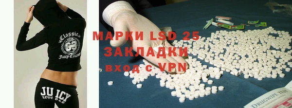 apvp Алзамай