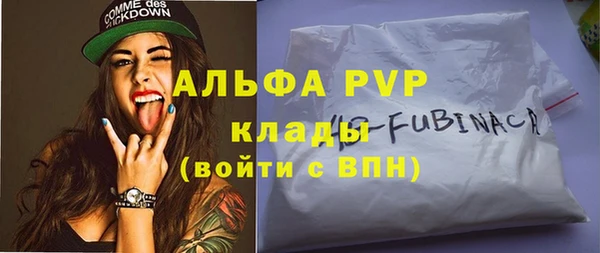 apvp Алзамай