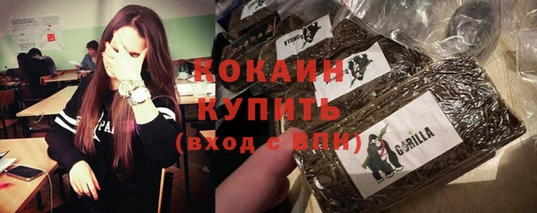 не бодяженный Алексин
