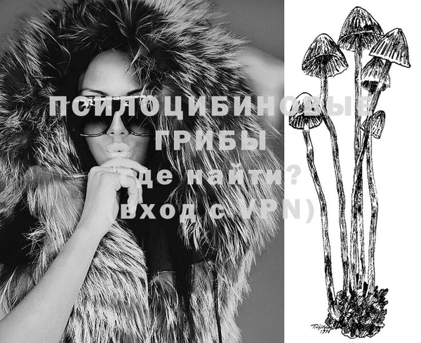 не бодяженный Алексин