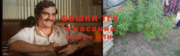 apvp Алзамай