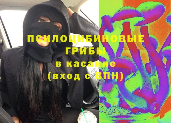 не бодяженный Алексин