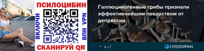 Купить закладки  Староминская  Галлюциногенные грибы Cubensis 